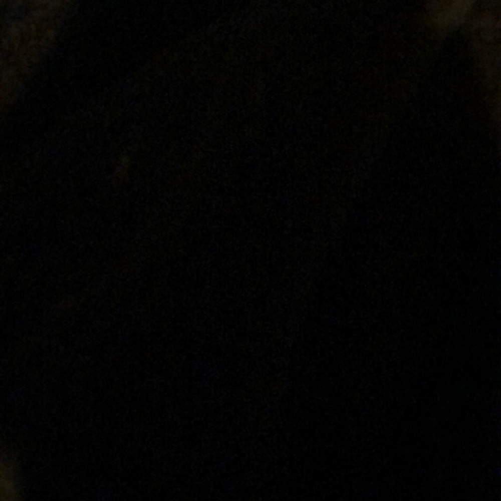 Meet your Posher, Maddie